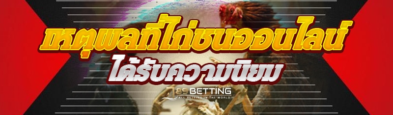 เหตุผลที่ไก่ชนออนไลน์ ได้รับความนิยม